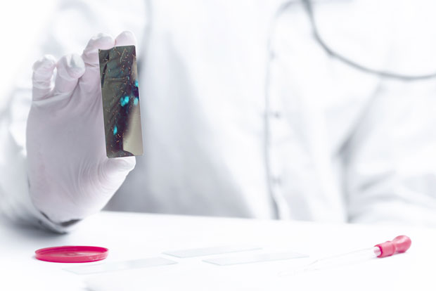 Прогнозе из региона су забрињавајуће: Црна Гора затворила границе за странце